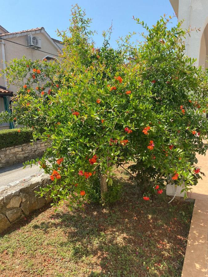 Apartmani Ana Borovac Funtana Exteriér fotografie
